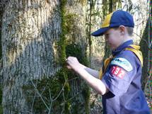 Boy Scout at the Tualatin Hills Nature Park