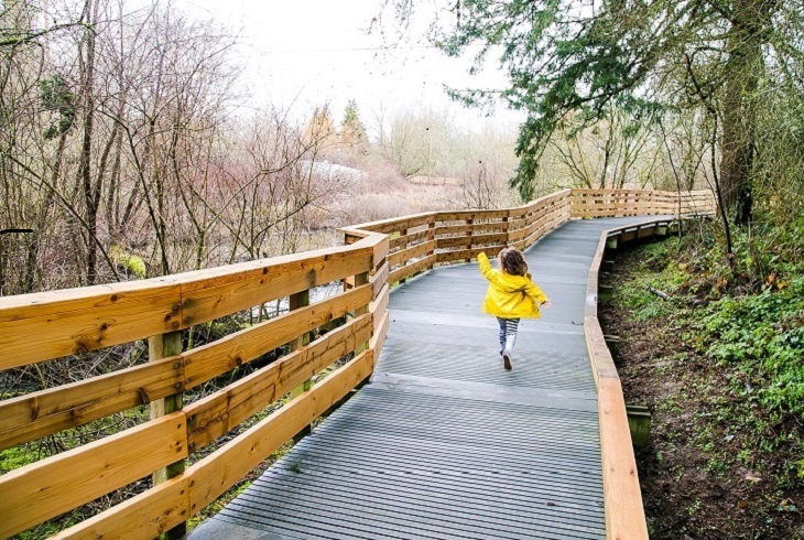 Image of Willow Creek Trail boardwalk