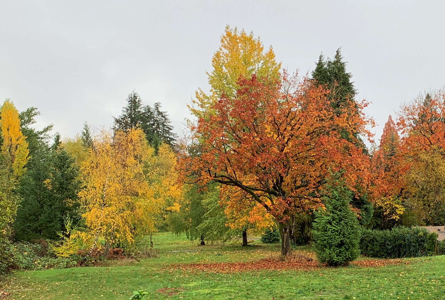 Help name the future park at SW Pointer Rd | Ayude a ponerle un nombre al futuro parque en Pointer Rd