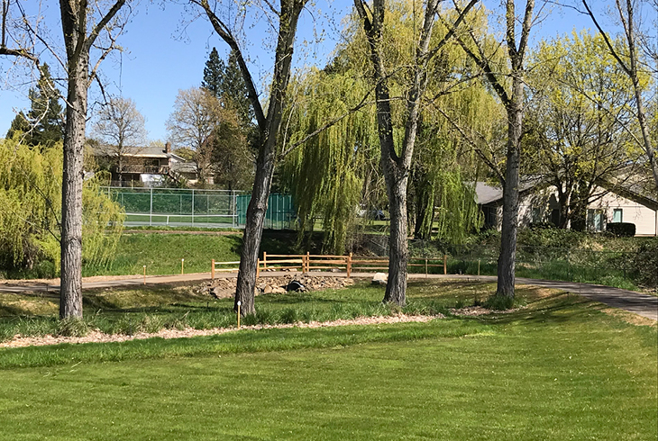 Trail through park