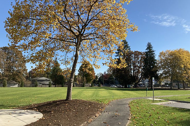 Park Pathway